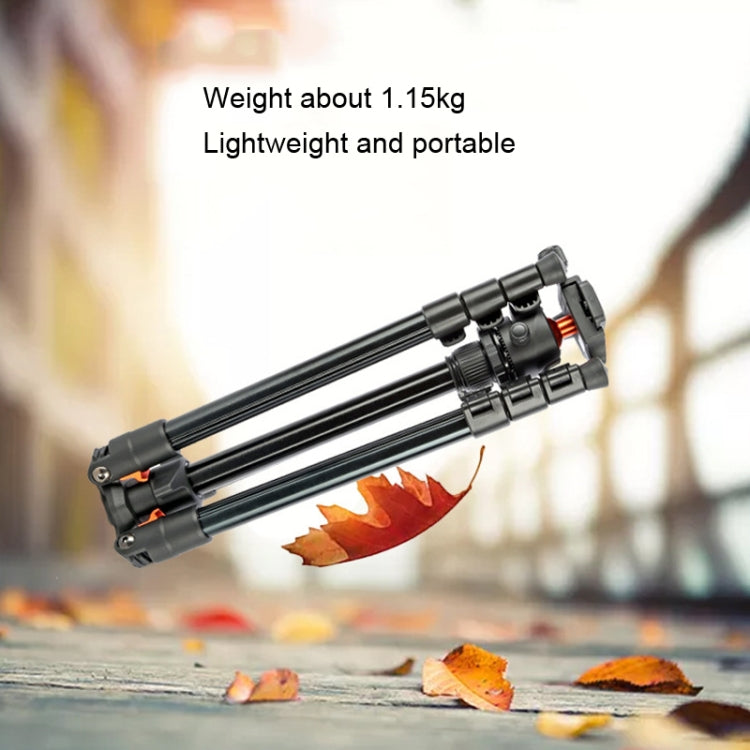 TRIOPO K268+KJ36 DSLR Tripod Photography Stand Portable Cell Phone Micro SLR Tripod - free shipping - PMC TechLife - Order now!