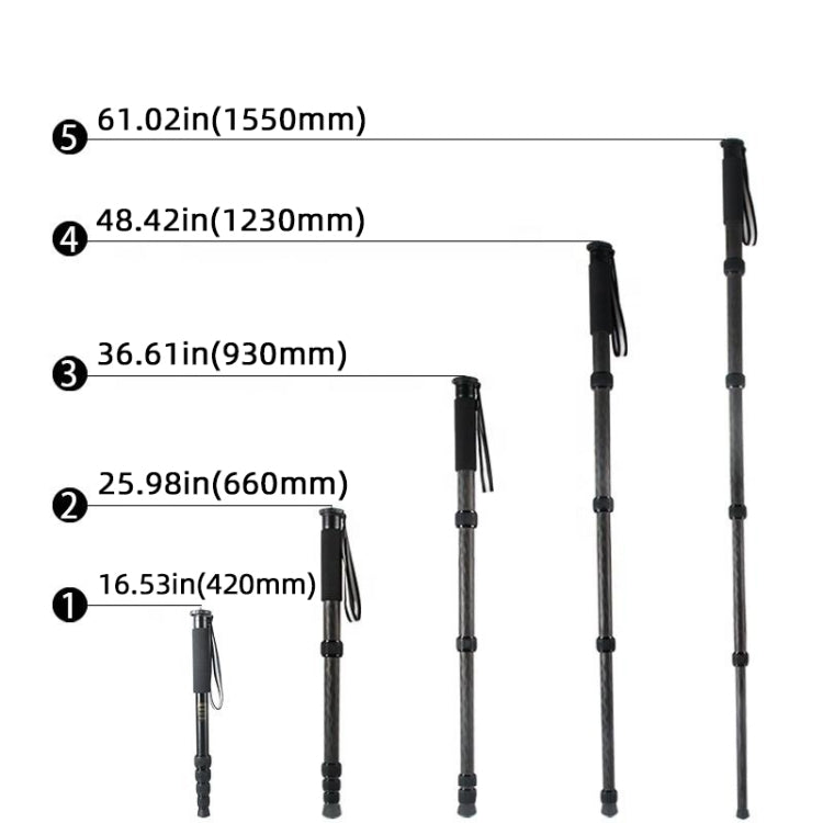 BEXIN P285C Carbon Fiber DSLR Camera Monopod Mountaineering Stick Photography Selfie Holder - Monopods by BEXIN | Online Shopping South Africa | PMC TechLife | Buy Now Pay Later Mobicred