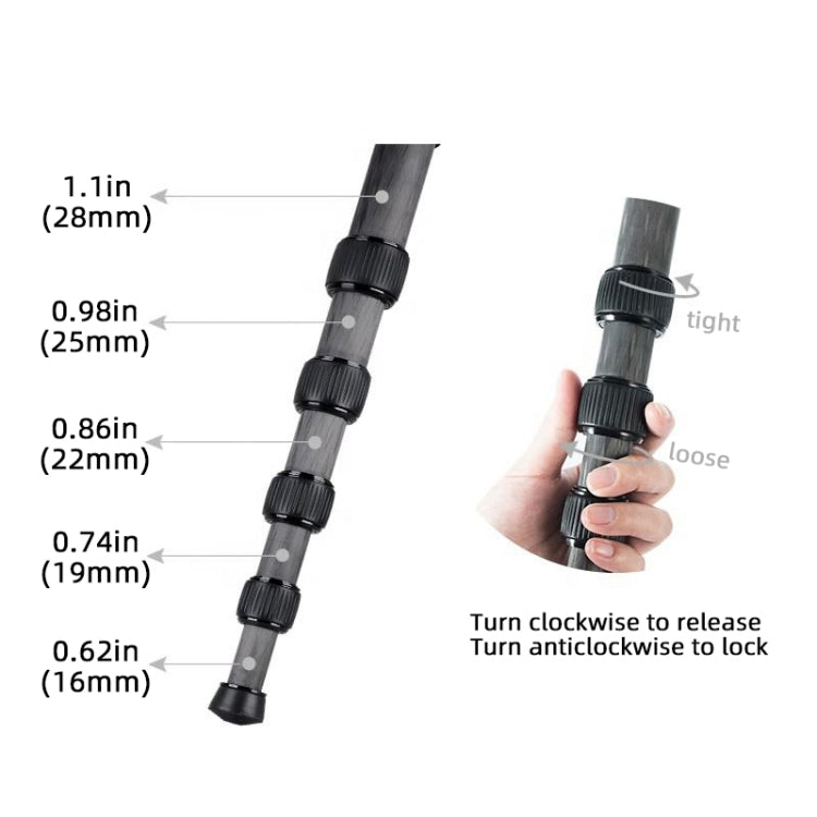 BEXIN P285C Carbon Fiber DSLR Camera Monopod Mountaineering Stick Photography Selfie Holder - Monopods by BEXIN | Online Shopping South Africa | PMC TechLife | Buy Now Pay Later Mobicred