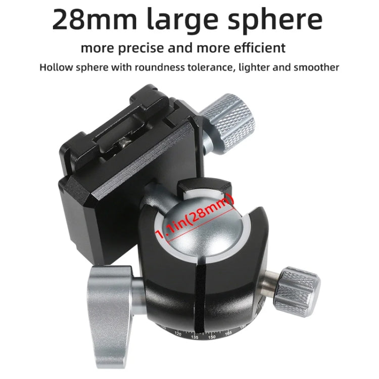 BEXIN RC254+LH-28 Carbon Fiber Portable Folding Tripod SLR Camera Low Gravity Center Gimbal Photography Bracket - free shipping - PMC TechLife - Order now!