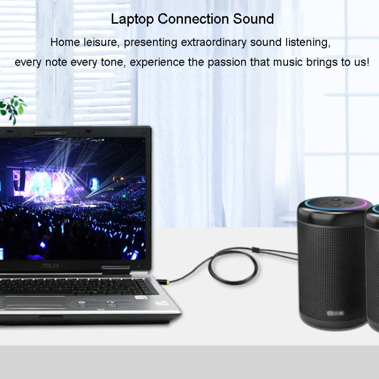 JINGHUA 3.5mm To Dual 6.5mm Audio Cable 1 In 2 Dual Channel Mixer Amplifier Audio Cable, Length: 10m - Aux Cable by JINGHUA | Online Shopping South Africa | PMC TechLife | Buy Now Pay Later Mobicred