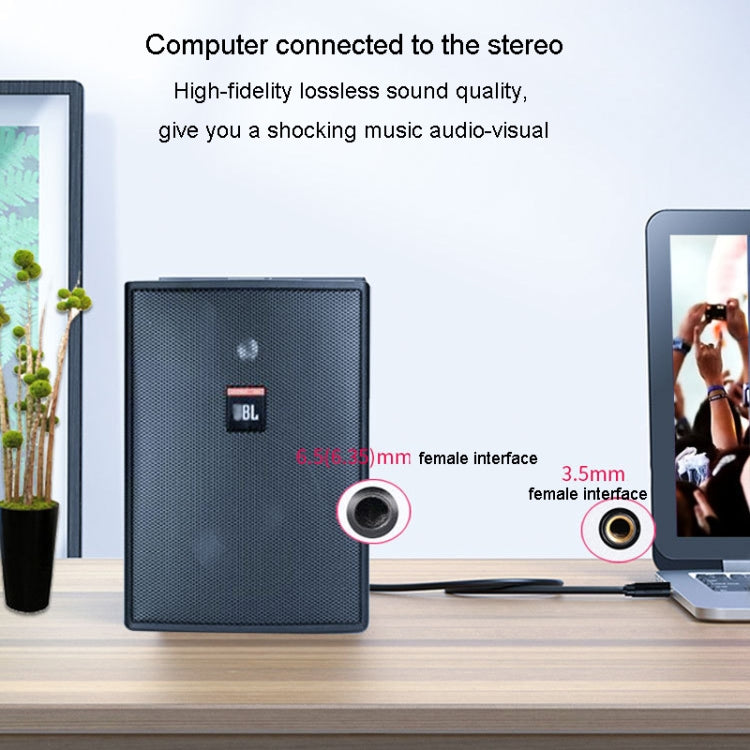 JINGHUA 3.5mm To 6.5mm Audio Cable Amplifier Guitar 6.35mm Cable, Length: 1.5m - Microphone Audio Cable & Connector by JINGHUA | Online Shopping South Africa | PMC TechLife | Buy Now Pay Later Mobicred