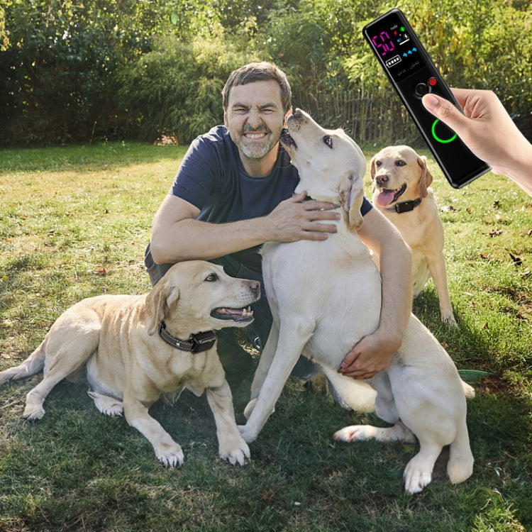 Color Screen Remote Control Pet Electric Shock Circular Dog Trainer(Black) - Training Aids by PMC TechLife | Online Shopping South Africa | PMC TechLife | Buy Now Pay Later Mobicred