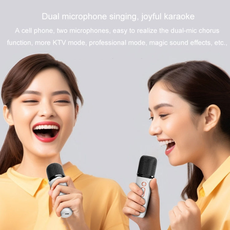 Y5 2 Microphone Portable Bluetooth Speaker Home And Outdoor Wireless Karaoke Audio(White) - Microphone by PMC TechLife | Online Shopping South Africa | PMC TechLife | Buy Now Pay Later Mobicred