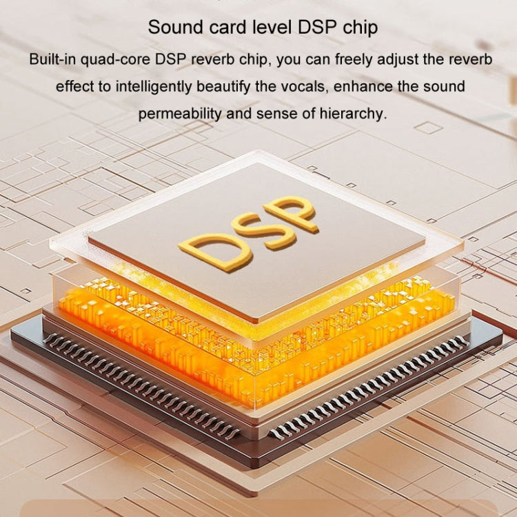 Y5 1 Microphone Portable Bluetooth Speaker Home And Outdoor Wireless Karaoke Audio(Black) - Microphone by PMC TechLife | Online Shopping South Africa | PMC TechLife | Buy Now Pay Later Mobicred