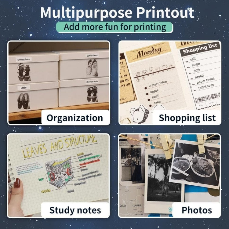 Phomemo 3rolls /Box 80mm Writing Quick-Drying Thermal Paper 10-Year Long-Lasting For M832 / M833 / M834 / M835 Printer - Printer Accessories by PMC TechLife | Online Shopping South Africa | PMC TechLife | Buy Now Pay Later Mobicred