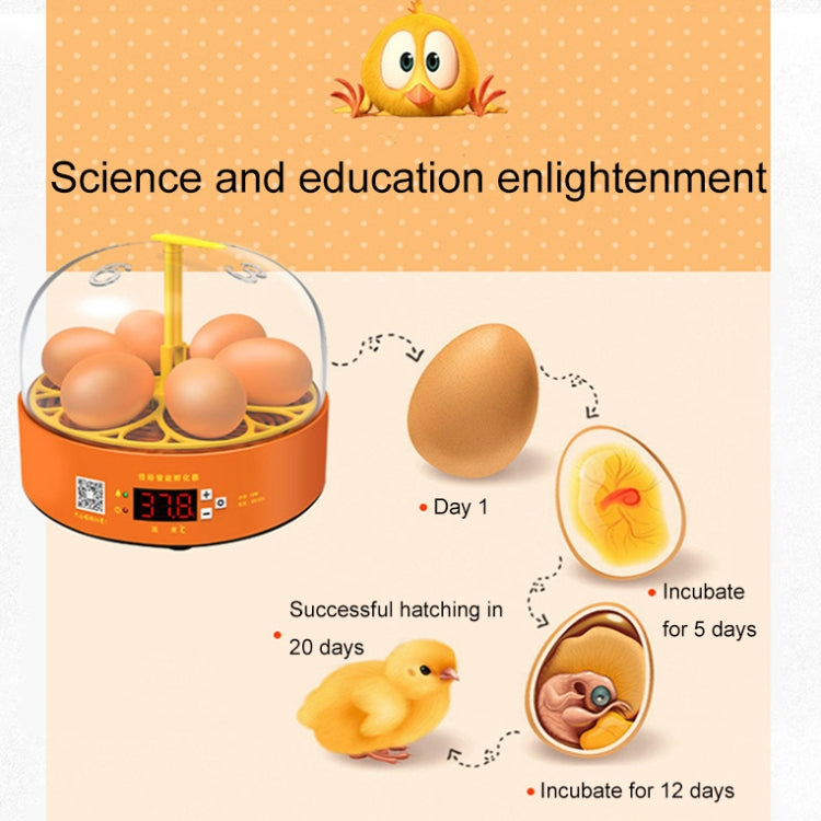 6-Eggs Small Household Experimental Children Smart Chicken Incubators, Spec: Automatic AU Plug - Incubators by PMC TechLife | Online Shopping South Africa | PMC TechLife