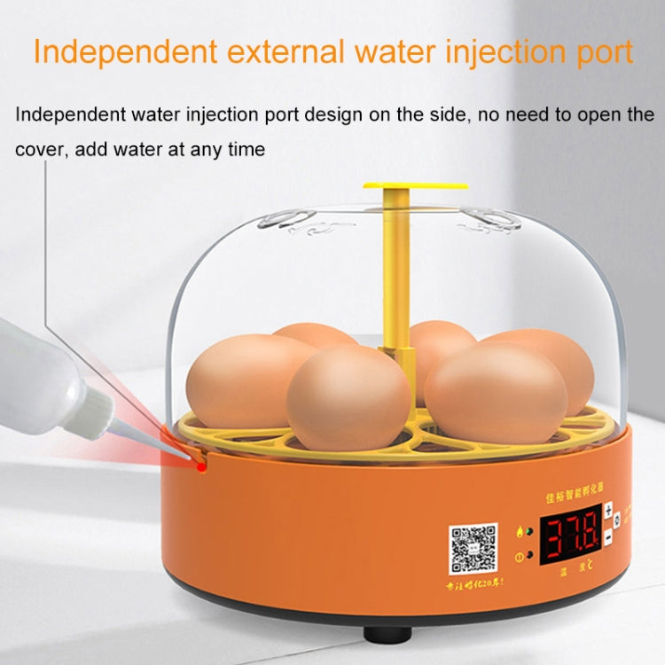 6-Eggs Small Household Experimental Children Smart Chicken Incubators, Spec: Automatic UK Plug - Incubators by PMC TechLife | Online Shopping South Africa | PMC TechLife