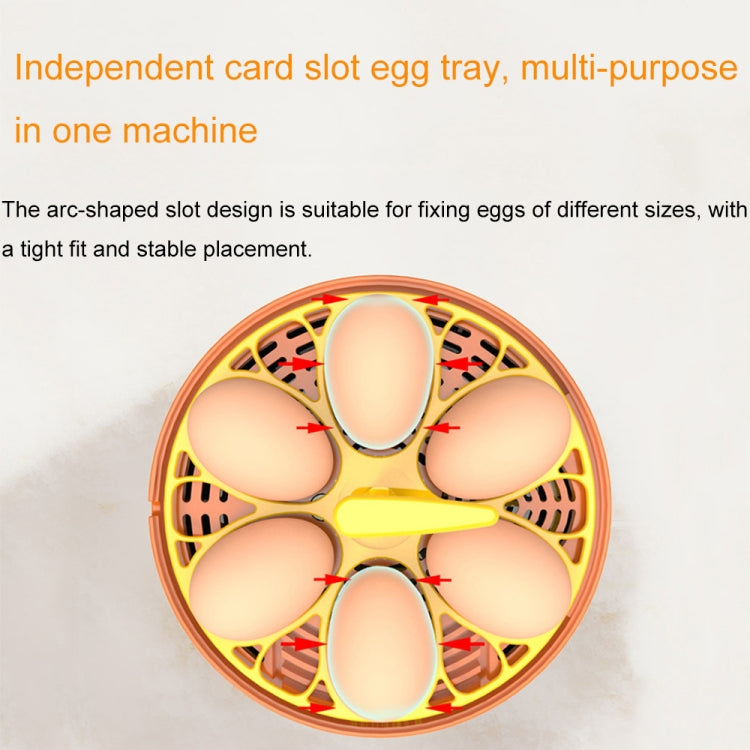 6-Eggs Small Household Experimental Children Smart Chicken Incubators, Spec: Automatic UK Plug - Incubators by PMC TechLife | Online Shopping South Africa | PMC TechLife