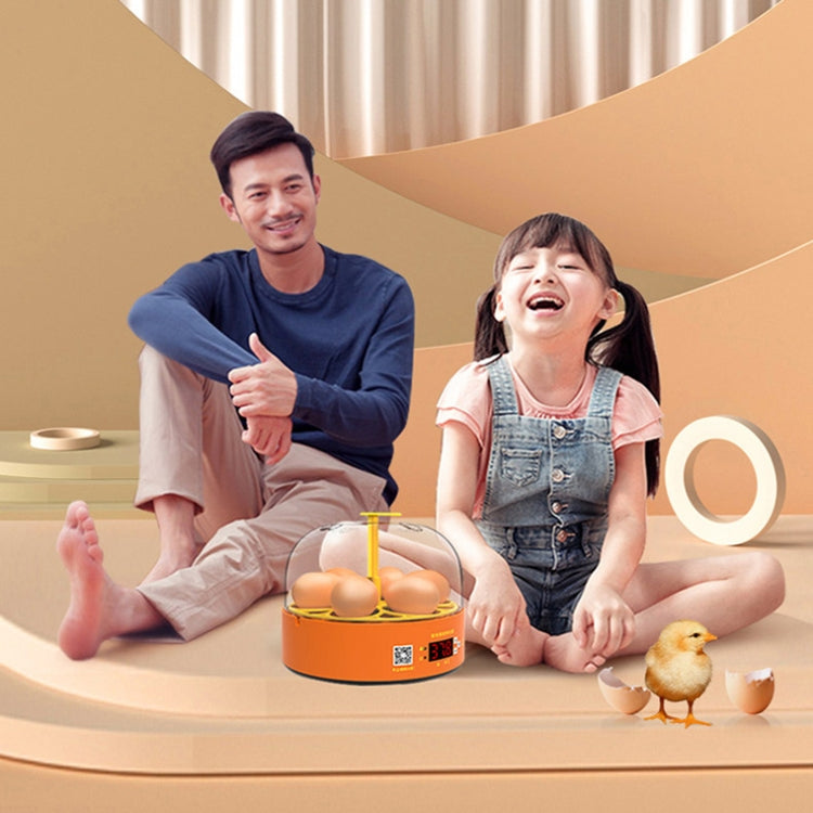 6-Eggs Small Household Experimental Children Smart Chicken Incubators, Spec: Dual-electric Automatic UK Plug - Incubators by PMC TechLife | Online Shopping South Africa | PMC TechLife