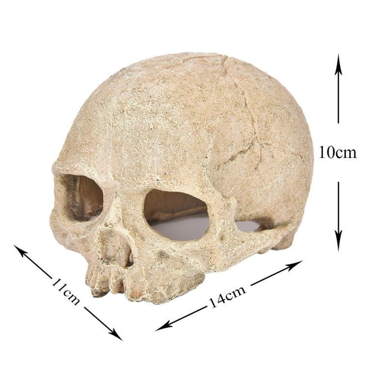 Fish Tank Aquarium Decoration Spider Lizard Snake Python Skull Breeding House Hiding Ornament(Bald Skull) - Reptile Supplies by PMC TechLife | Online Shopping South Africa | PMC TechLife