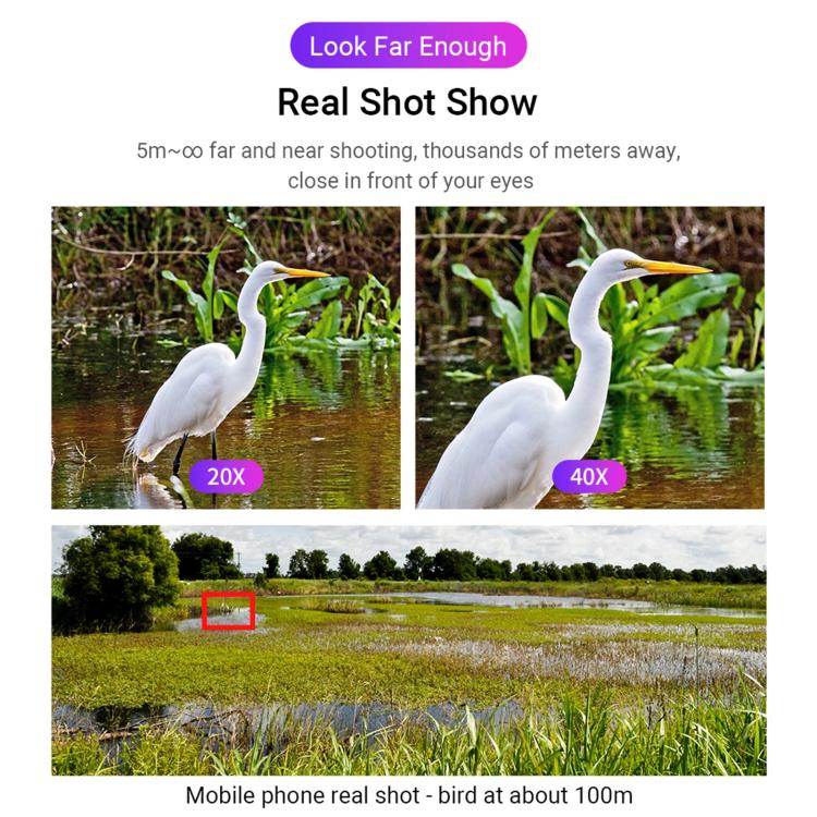 TBD06047828_4.jpg@8e8a9379792cc2997cb2f4a0611396bd