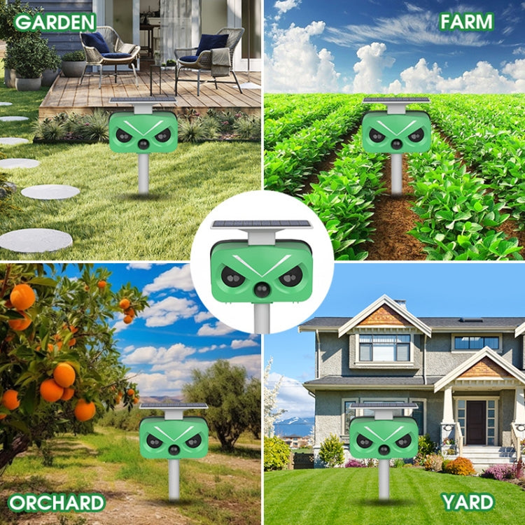 Outdoor Solar Animal Repeller Multi-functional Bird/Cat/Rat Repeller(SJZ028-2) - Outdoor Insect Repellent by PMC TechLife | Online Shopping South Africa | PMC TechLife | Buy Now Pay Later Mobicred
