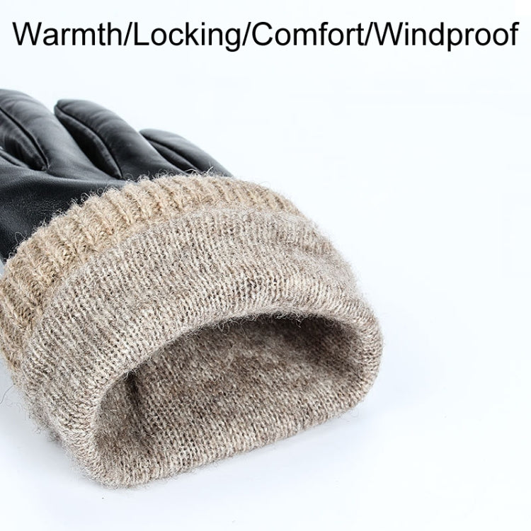 Autumn And Winter Padded Leather Gloves Business Simple Outdoor Sports Warm Gloves, Size: M(Brown) - Full Finger Gloves by PMC TechLife | Online Shopping South Africa | PMC TechLife | Buy Now Pay Later Mobicred