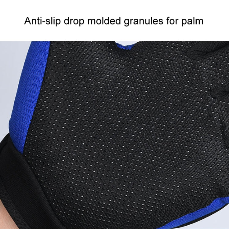 Motorcycle Gloves Men Riding Racing Anti-Slip Hard Shell Outdoor Full Finger Touchscreen Gloves, Size: Average(Blue) - free shipping - PMC TechLife - Order now!