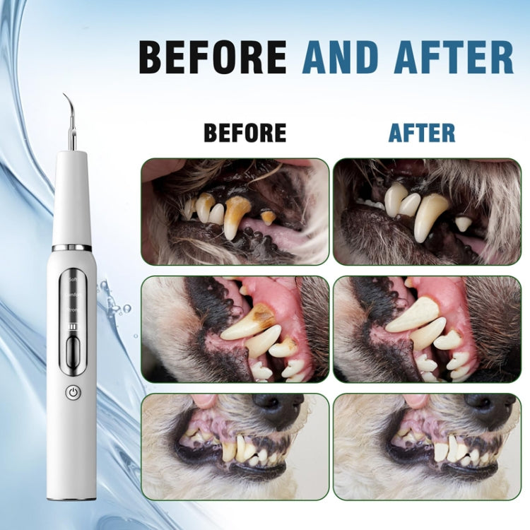 Pet Ultrasonic Teeth Cleaner Dog Electric Teeth Cleaning Tool Home Dentistry Tartar Remover(White) - Oral Cleaning Tools by PMC TechLife | Online Shopping South Africa | PMC TechLife | Buy Now Pay Later Mobicred