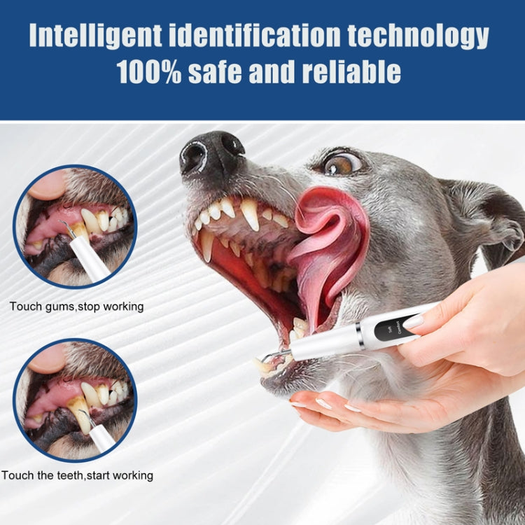 Pet Ultrasonic Teeth Cleaner Dog Electric Teeth Cleaning Tool Home Dentistry Tartar Remover(White) - Oral Cleaning Tools by PMC TechLife | Online Shopping South Africa | PMC TechLife | Buy Now Pay Later Mobicred