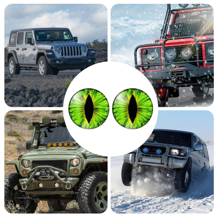 1pair Beast Eyes Headlight Decorative Stickers Off-Road Vehicle Front Lights Stereo Decals, Style: 8 - Lamp Decoration by PMC TechLife | Online Shopping South Africa | PMC TechLife | Buy Now Pay Later Mobicred