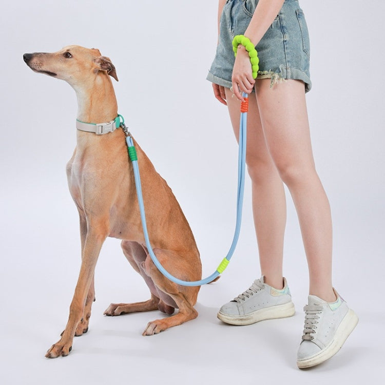 Explosion-Proof  Two-Stage Dog Leash With Foam Handle For Medium And Large Dogs(Sea Salt Blue) - Leashes & Chest Strap by PMC TechLife | Online Shopping South Africa | PMC TechLife | Buy Now Pay Later Mobicred