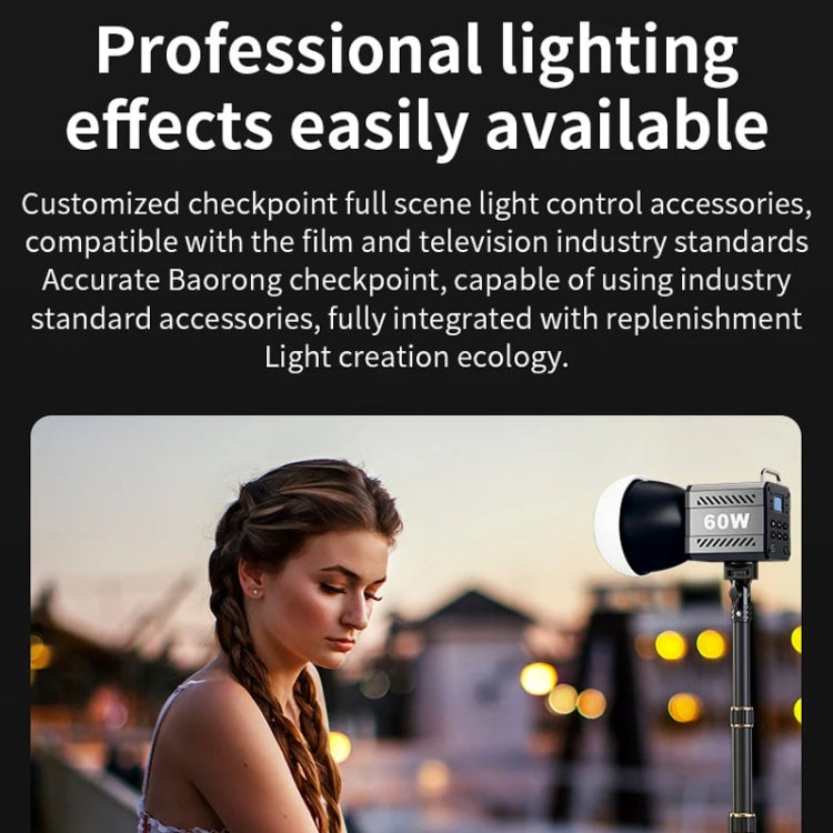 Desiontal ZU-60 60W Hand-Held Camera Light High Power Fill Light, EU Plug, Spec: Standard - free shipping - PMC TechLife - Order now!