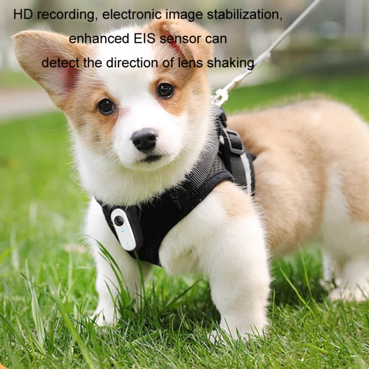 HD Outdoor Portable Pet Recorder Cycling Sports Camera, Specifications: With Silicone Collar - Video Cameras by PMC TechLife | Online Shopping South Africa | PMC TechLife | Buy Now Pay Later Mobicred