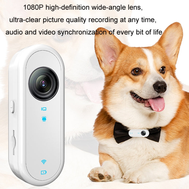 HD Outdoor Portable Pet Recorder Cycling Sports Camera, Specifications: With Silicone Collar - Video Cameras by PMC TechLife | Online Shopping South Africa | PMC TechLife | Buy Now Pay Later Mobicred