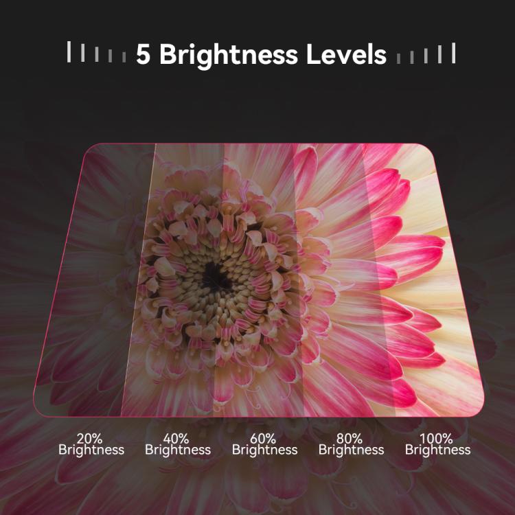 APEXEL APL-FL26 Jewelry Food Still Life Tri-color 9-speed Slim Ring Macro Photography Fill Light - free shipping - PMc TechLife - Order now!