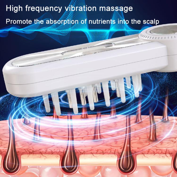 Hair Oil Applicator Roller Ball Red / Blue Light Electric Massage Comb Hair Regrowth Conductive Comb(Black) - free shipping - PMC TechLife - Order now!