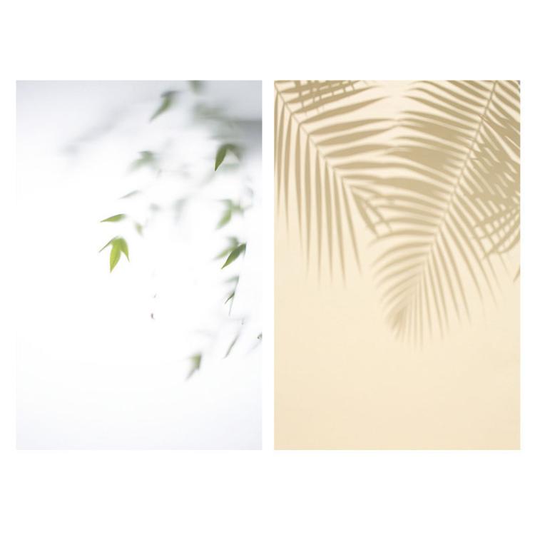 TBD0605949501C.jpg@c84ffb5f8ce87387d1f5ee097a02941c