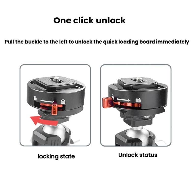 TBD06061131_B7.jpg@6cb414ecf4a7de93f62a820df29db233