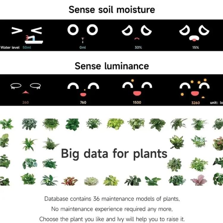 TBD06061633_B9.jpg@a9fc3cdd2a1b63934a97c91e2878f398