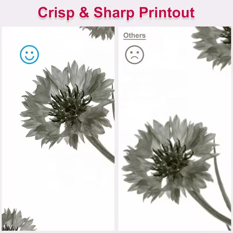 TBD06062211_B3.jpg@d8357e0bd17035401055507d39abe4c9