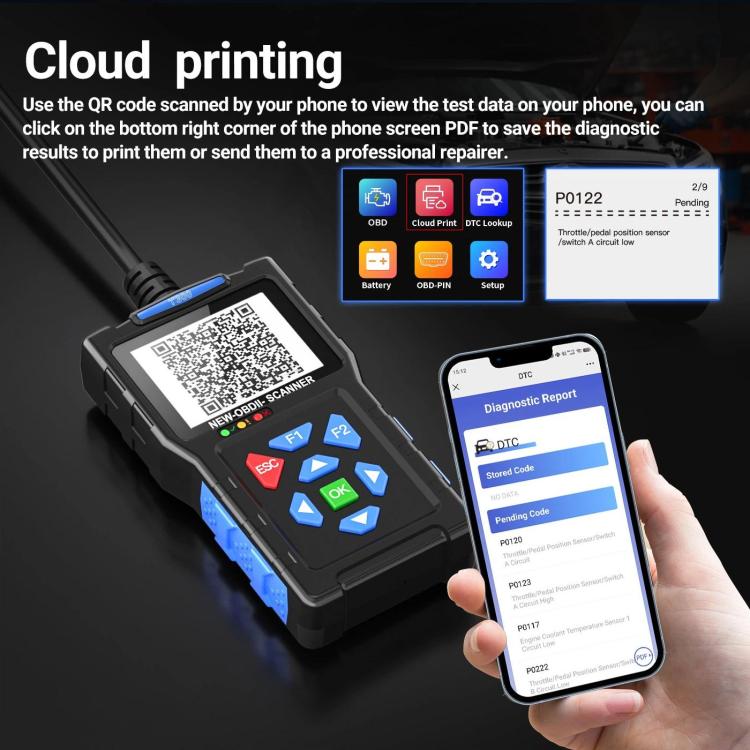 TBD06065293_B11.jpg@65982fa65a0a1db2e9c22d1955f20b14