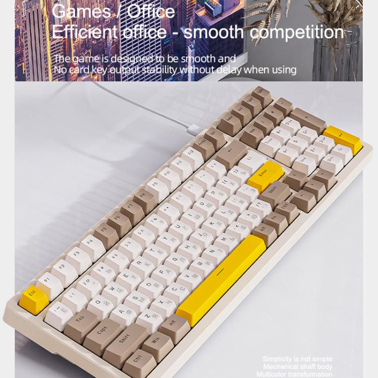 TBD06065392_B2.jpg@903305c9cbf37a94de00bb100e069231