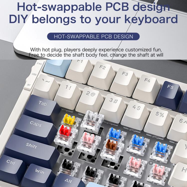 TBD06065429_B10.jpg@add37ac11e5f3e172187804f829b95d3