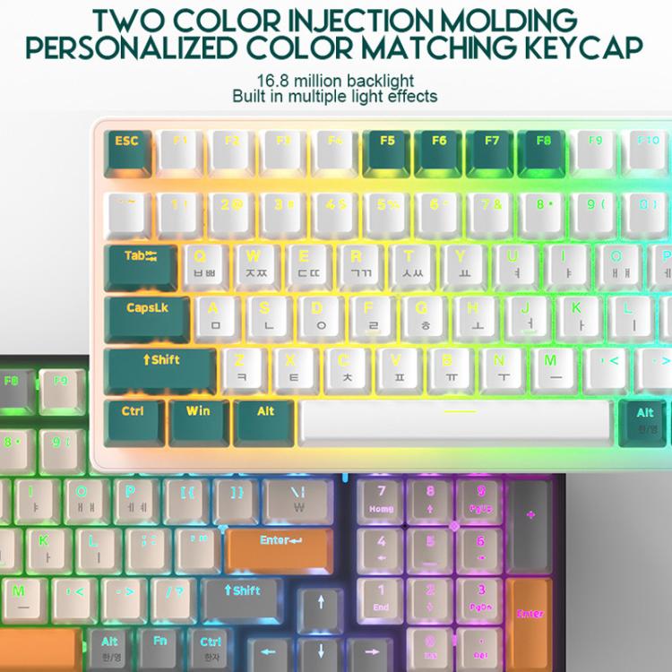 TBD06065434_B4.jpg@2b18b60ebdb14bddb92a01de9f067f56