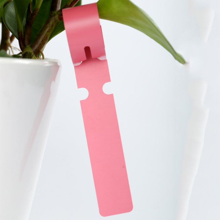 100 PCS Gardening Plant Sapling Seed Hanging Tree Label(White) - Yard & Garden Decor by PMC TechLife | Online Shopping South Africa | PMC TechLife