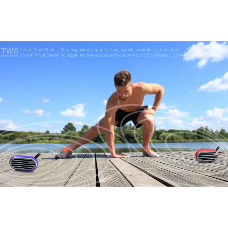 New Rixing NR-105 Mini TWS Metal Bluetooth Speaker Support Hands-free Call / FM(Black) - Desktop Speaker by NewRixing | Online Shopping South Africa | PMC TechLife | Buy Now Pay Later Mobicred
