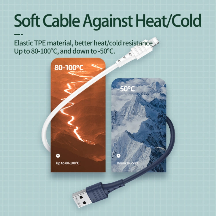 REMAX RC-179i 2.4A 8 Pin High Elastic TPE Fast Charging Data Cable, Length: 1m(Blue) - Normal Style Cable by REMAX | Online Shopping South Africa | PMC TechLife | Buy Now Pay Later Mobicred