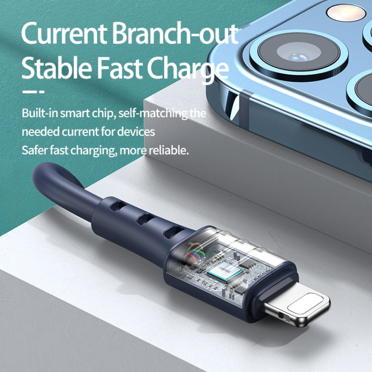 REMAX RC-179i 2.4A 8 Pin High Elastic TPE Fast Charging Data Cable, Length: 1m(Blue) - Normal Style Cable by REMAX | Online Shopping South Africa | PMC TechLife | Buy Now Pay Later Mobicred