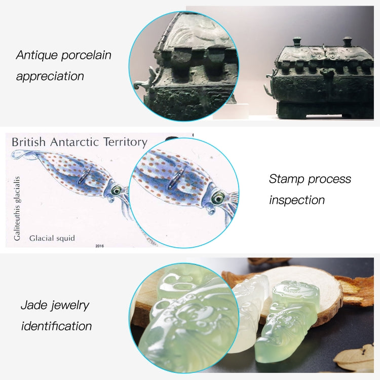 AN104 1000X 3 in 1 Digital Microscope with Helical Tube Bracket - Digital Microscope by PMC TechLife | Online Shopping South Africa | PMC TechLife | Buy Now Pay Later Mobicred