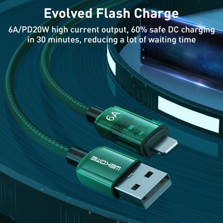 WK WDC-180 6A Pioneer Series USB to 8 Pin Transparent Fast Charge Data Cable, Length: 1m(Black) - Normal Style Cable by WK | Online Shopping South Africa | PMC TechLife