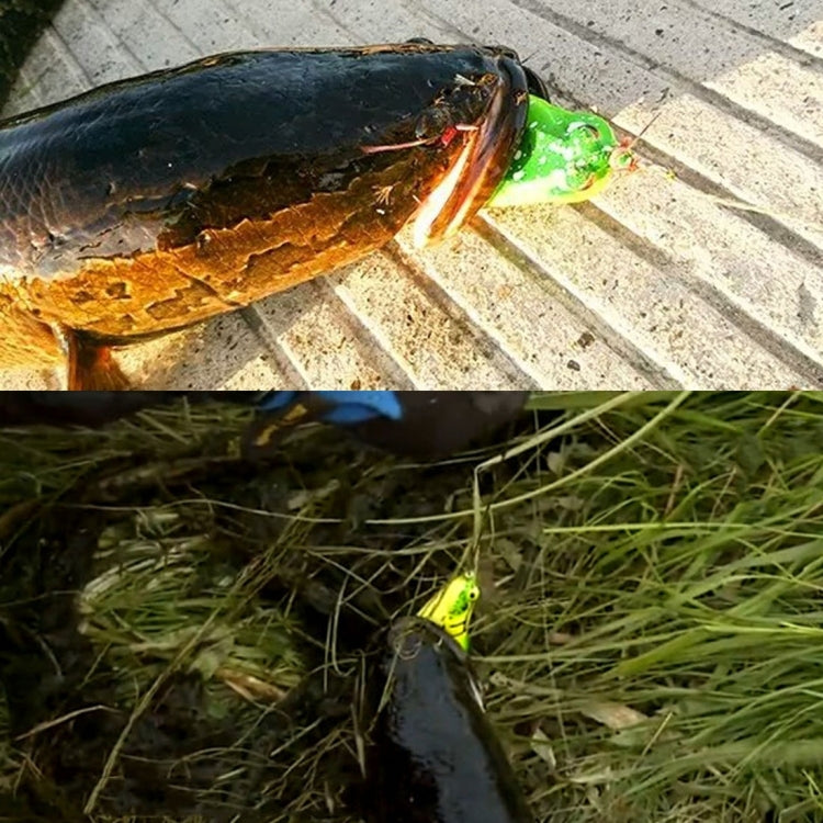 HENGJIA 5 PCS Soft Baits Water-hit Fishing Lures Ray Frog Baits with Plastic Box - Fishing Lures by HENGJIA | Online Shopping South Africa | PMC TechLife | Buy Now Pay Later Mobicred