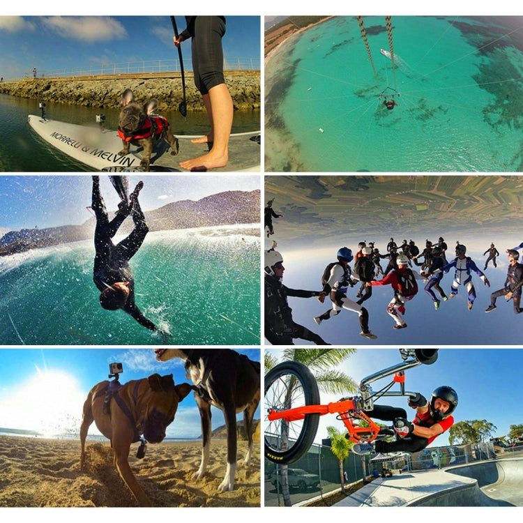 PULUZ 53 in 1 Accessories Total Ultimate Combo Kits (Chest Strap + Suction Cup Mount + 3-Way Pivot Arms + J-Hook Buckle + Wrist Strap + Helmet Strap + Extendable Monopod + Surface Mounts + Tripod Adap ...  for GoPro, Insta360, DJI and Other Action Cameras -  by PULUZ | Online Shopping South Africa | PMC TechLife | Buy Now Pay Later Mobicred