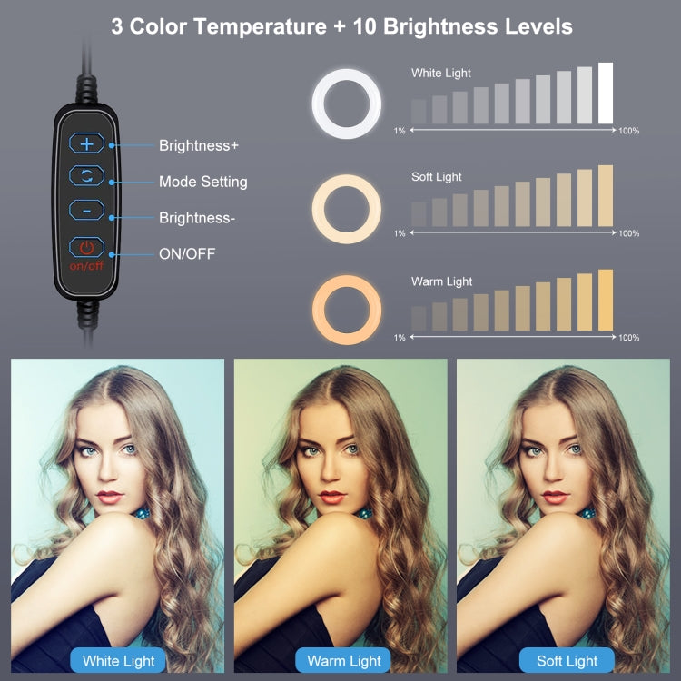 PULUZ 4.7 inch 12cm Ring Light Horizontal Dual Phone Brackets Desktop Holder Video Light Kits - Ring Light by PULUZ | Online Shopping South Africa | PMC TechLife | Buy Now Pay Later Mobicred