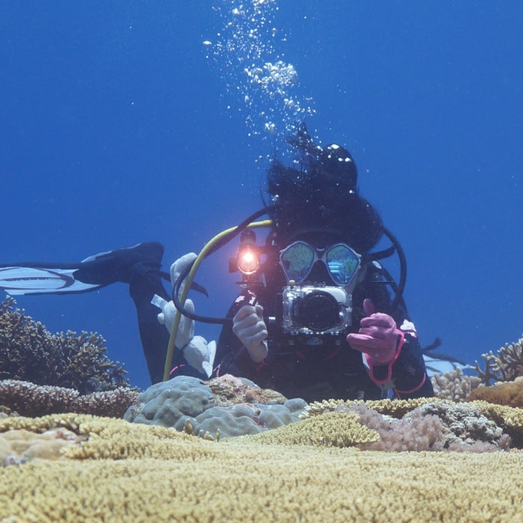 PULUZ Dual Handles Aluminium Alloy Tray Stabilizer for Underwater Camera Housings(Black) - free shipping - PMC TechLife - Order now!