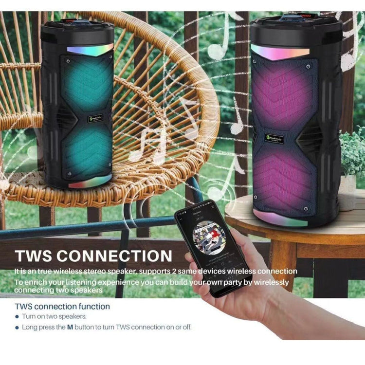 NewRixing NRG6601A Outdoor Portable Karaoke Wireless Speaker 20W Audio Amplifier With Mic(B) - Desktop Speaker by NewRixing | Online Shopping South Africa | PMC TechLife | Buy Now Pay Later Mobicred
