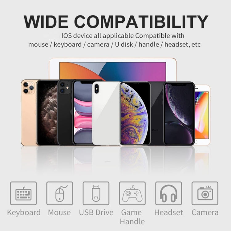 ENKAY ENK-AT110 8 Pin Male to USB 3.0 Female Aluminium Alloy OTG Adapter(Golden) - Converter & Adapter by ENKAY | Online Shopping South Africa | PMC TechLife | Buy Now Pay Later Mobicred