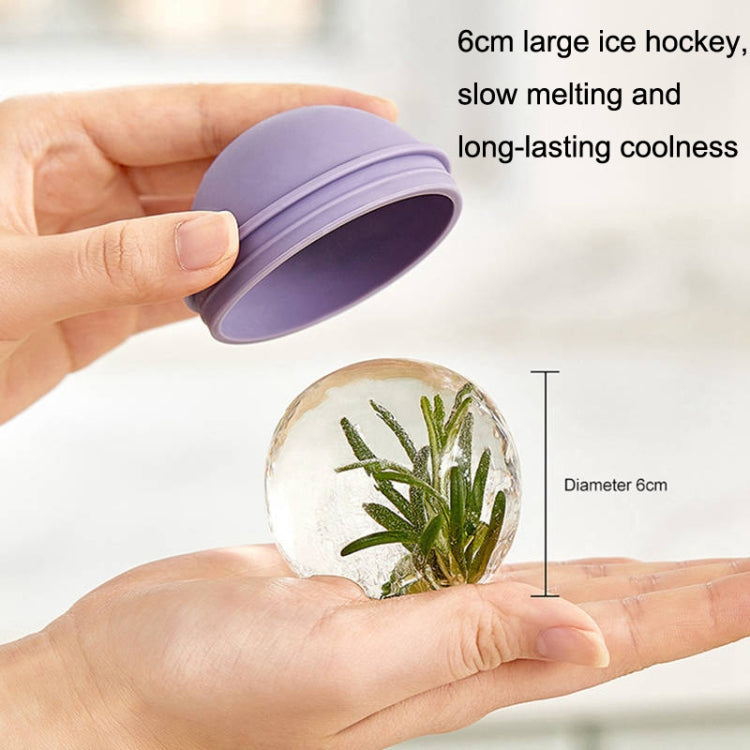 2PCS Home Whiskey Bulb Ice Ball Ice Cube Silicone Mold With Funnel(Sky Blue) - free shipping - PMC TechLife - Order now!