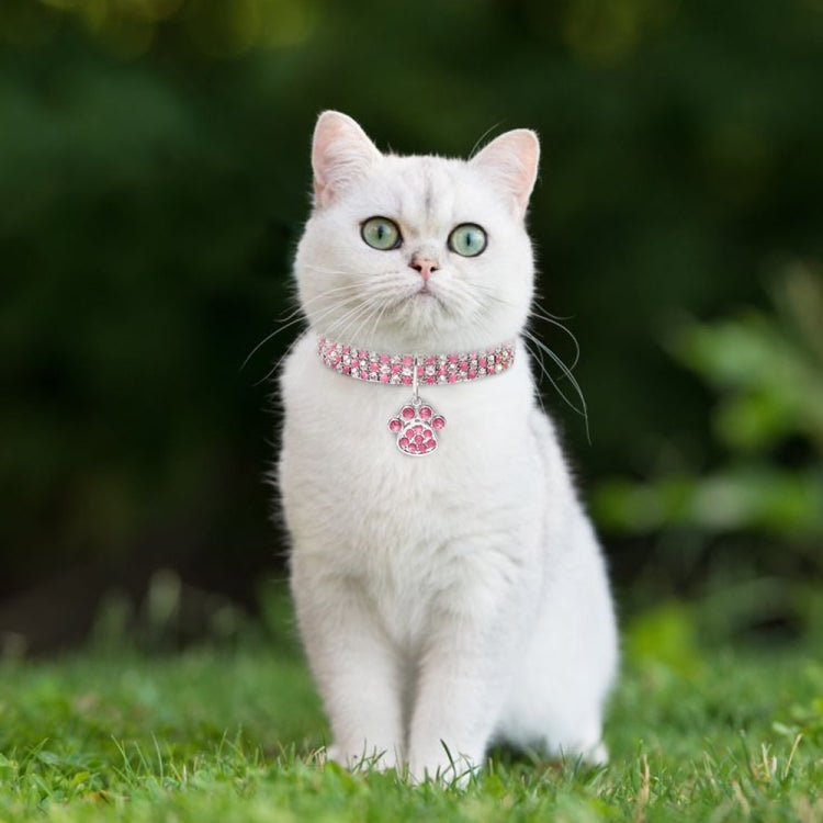 Pet Collar Diamond Elastic Cat And Dog Necklace Jewelry, Size:M(White) - free shipping - PMC TechLife - Order now!